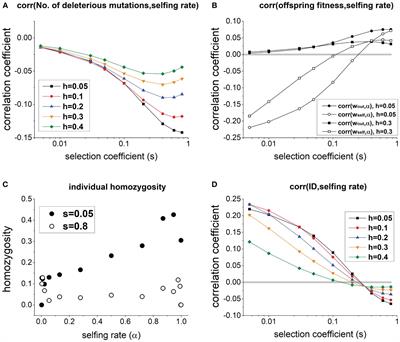 How should we measure population-level inbreeding depression? Impacts of standing genetic associations between selfing rate and deleterious mutations